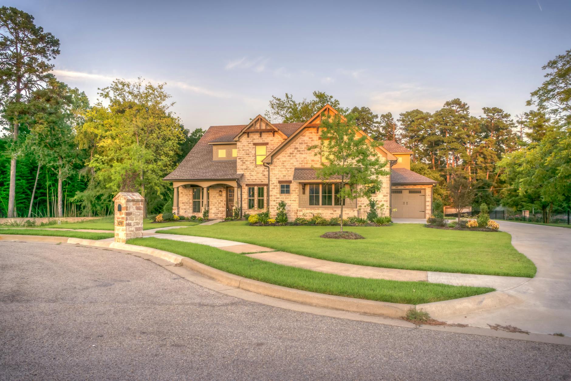 Tree Care service in St. Louis